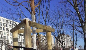 Drzewa Warszawy. Miło cię poznać, dębie, dobrze cię widzieć, sosno. Teraz wszystko jest na mapie