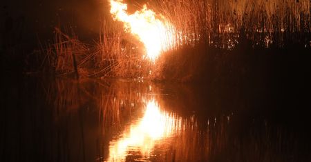 Płonie Biebrzański Park Narodowy. Chmura dymu dotarła do Warszawy