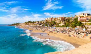 Groźny owad znów na europejskiej wyspie. Służby w gotowości