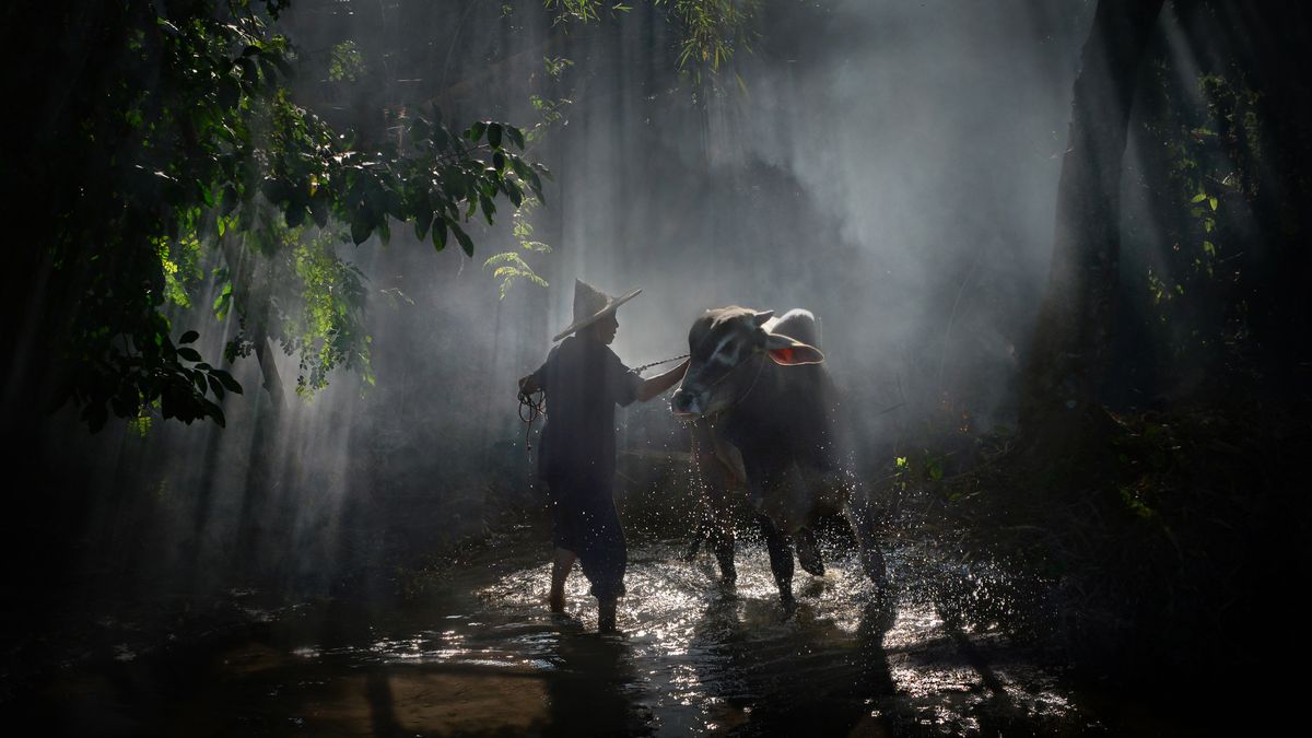 Emerytowany radiolog robi cudowne zdjęcia podróżnicze 1