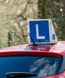 Pogrom na egzaminach na prawo jazdy. Dyrekcja WORD bezradna