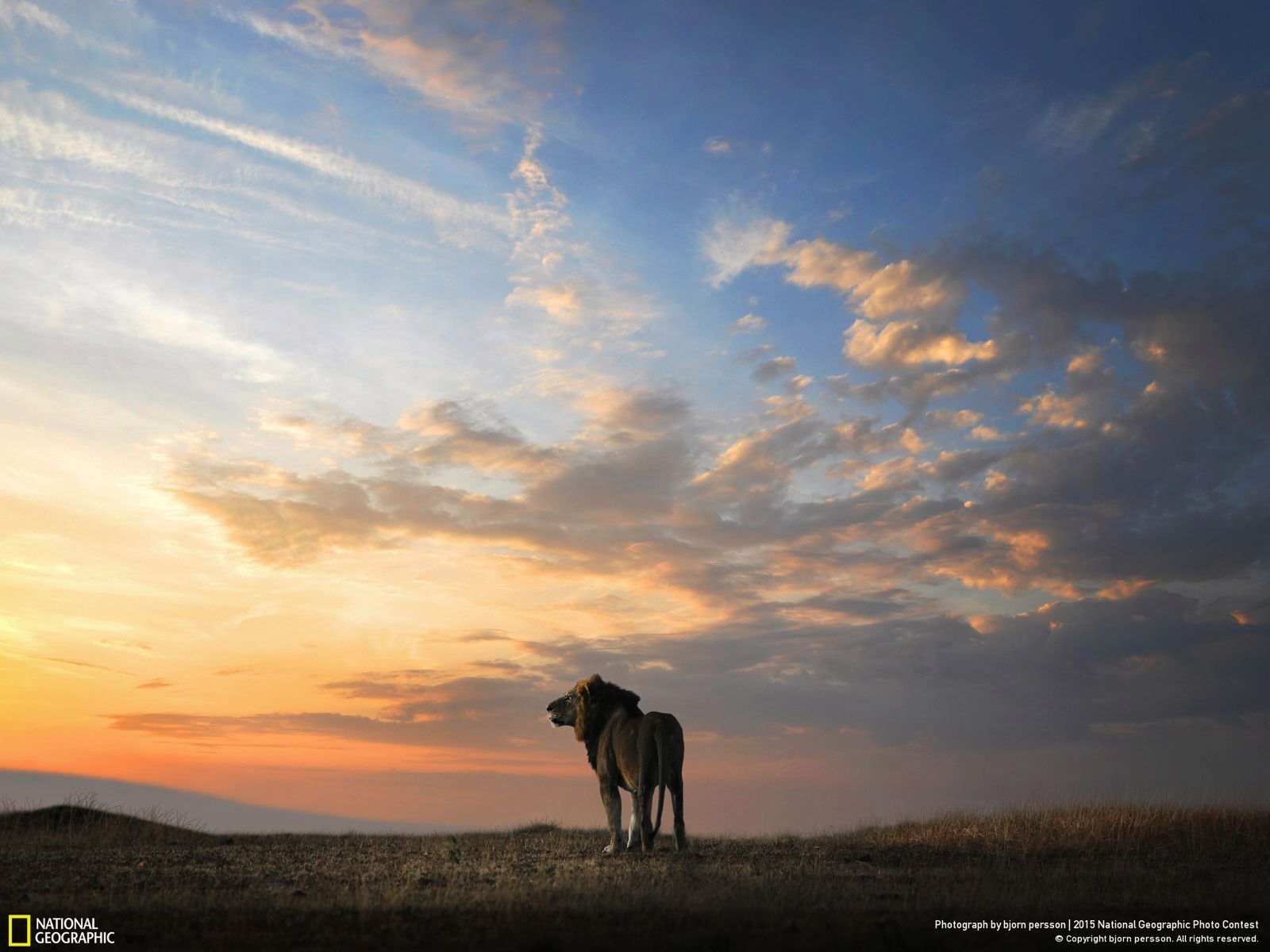 Zachwycają przyroda, czyli najlepsze zgłoszenia National Geographic Photo Contest 2015 9