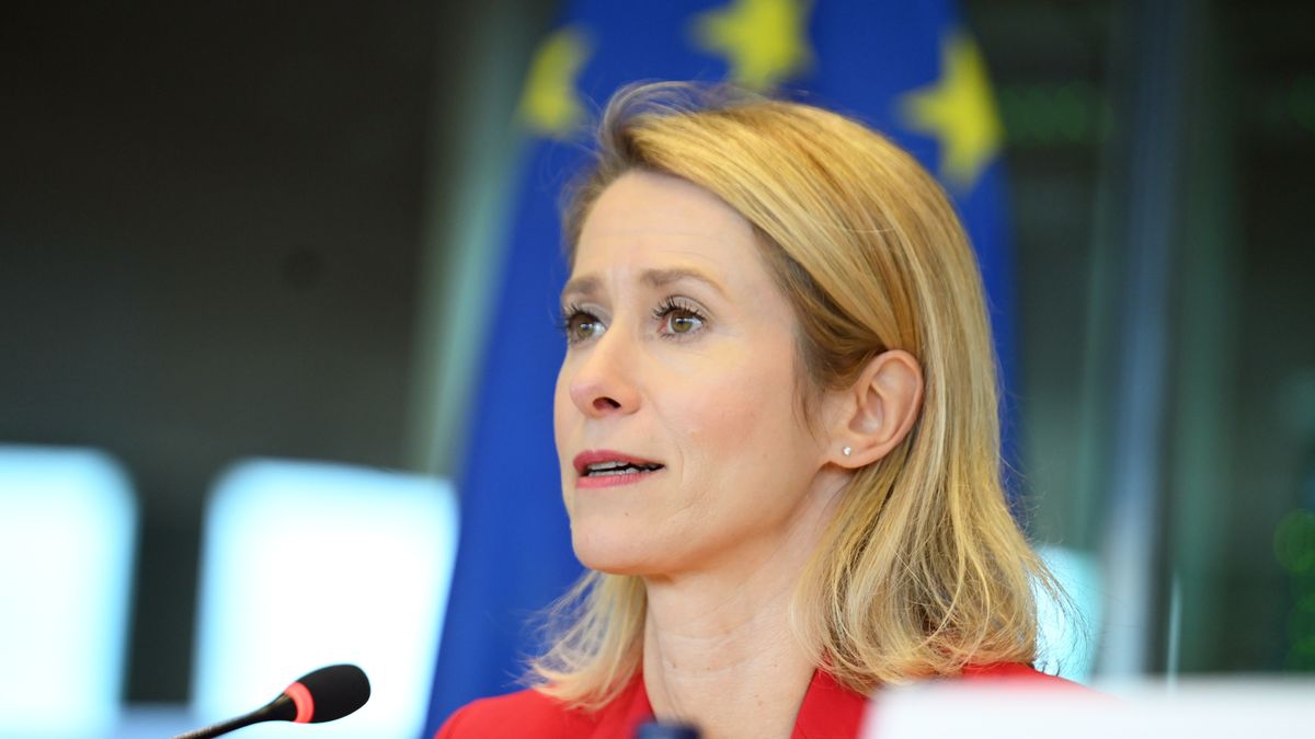 BRUSSELS, BELGIUM - MARCH 17: EU High Representative for Foreign Affairs and Security Policy Kaja Kallas speaks at the European Parliament's Foreign Affairs Committee in Brussels, Belgium on March 17, 2026. (Photo by Dursun Aydemir/Anadolu via Getty Images)
