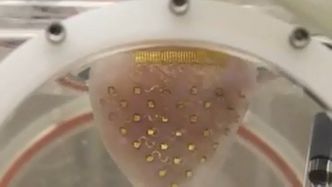 Silikonowy futerał na... serce