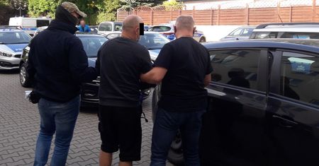 Piaseczno. Uratowali 50 kotów perskich. "Hodowca" poszukiwany listem gończym