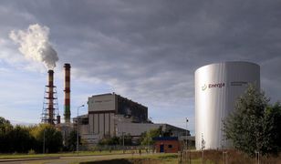 Awaria w elektrowni w Ostrołęce. Wielkie plamy oleju na rzece Narwi.