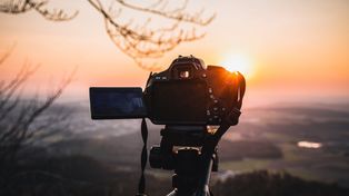 Ostrów Mazowiecka: XIII Konkurs Fotograficzny "Ptaki w polskim krajobrazie jesienno-zimowym” podsumowany.