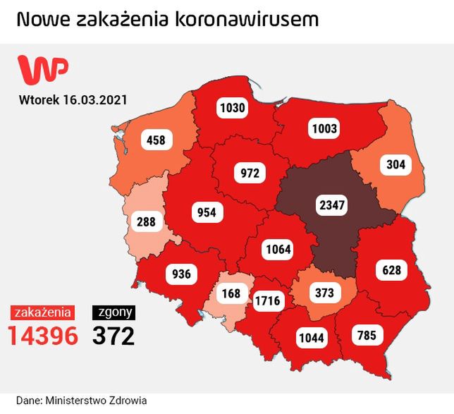 mapa zakażeń
