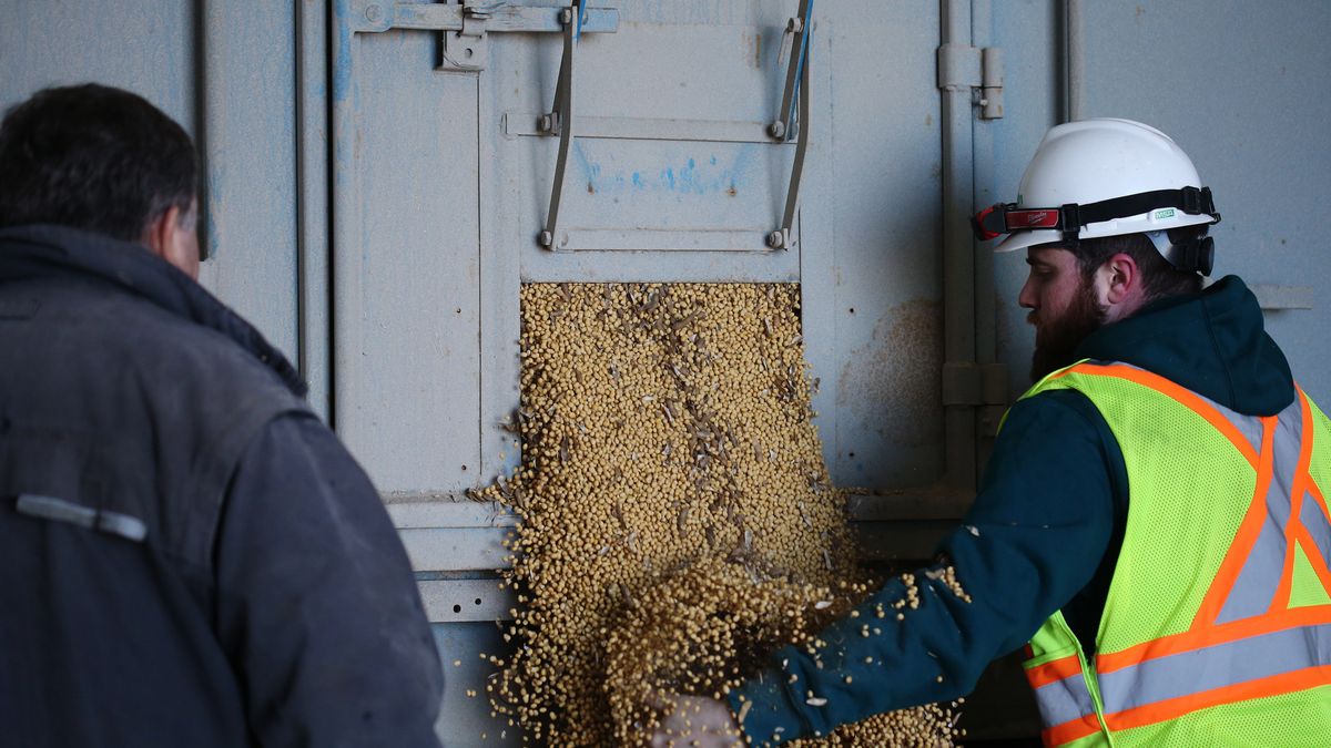 Viterra musi sprzedać swoje zakłady w Polsce i na Węgrzech. Będzie wielka fuzja
