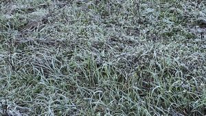 Prognoza pogody na weekend. Zima nie odpuszcza