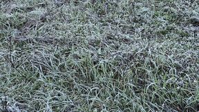 Prognoza pogody na weekend. Zima nie odpuszcza