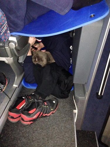 W takich warunkach przyszło spać zawodnikom oraz trenerom ZAKSY. źródło: twitter.com