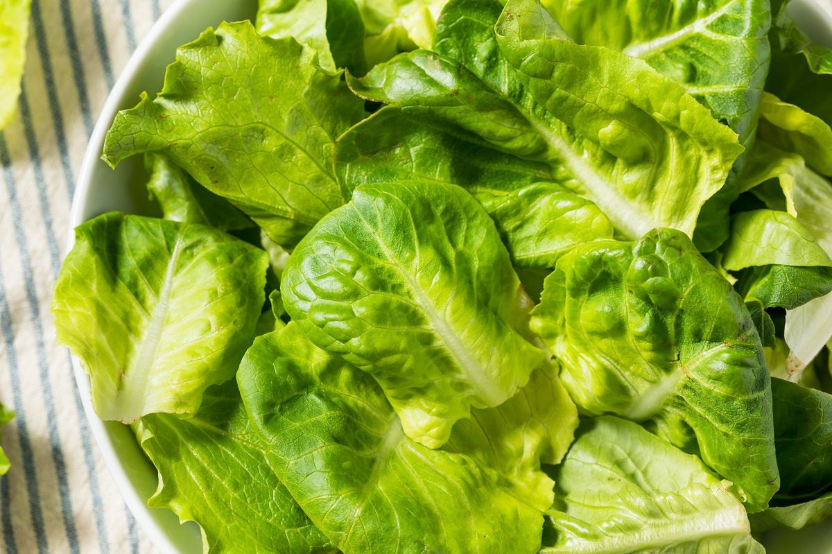 So bleibt Salat knackig: Der einfache Trick mit Alufolie