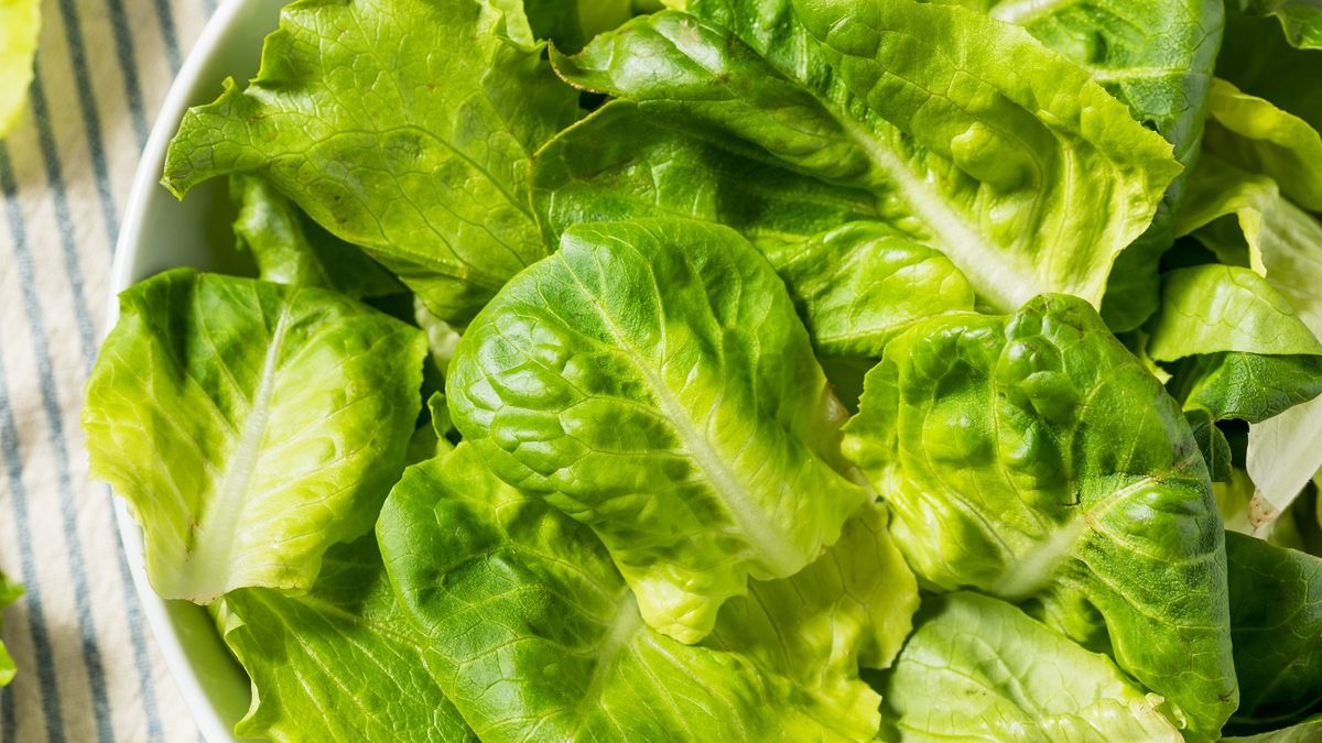 Sałatę przechowuję w ten sposób i nic się nie marnuje