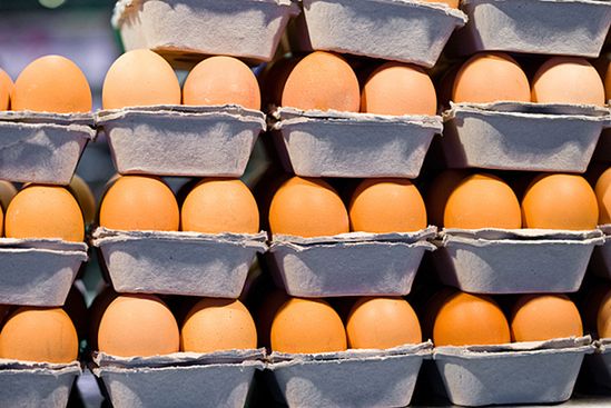 Ponad 100 tys. zatrutych jaj trafiło z Niemiec do Holandii?
