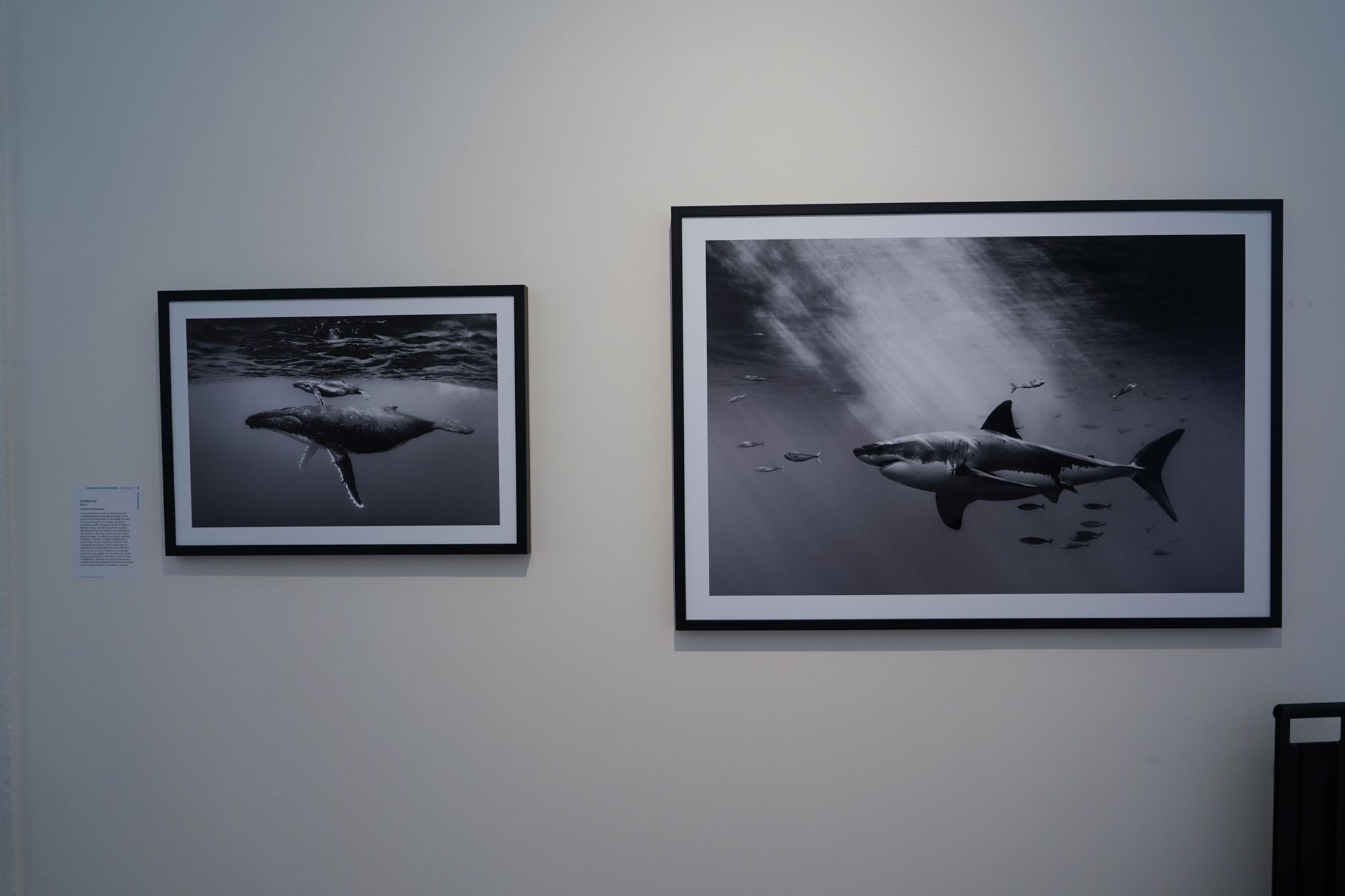 Kontrowersyjny materiał o samobójstwach wygrał Sony World Photography Awards 2019 179