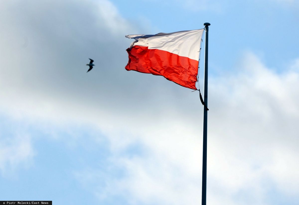 Nowa ustawa zakładała też podział flagi Polski an dwa rodzaje/ Zdjęcie ilustracyjne 