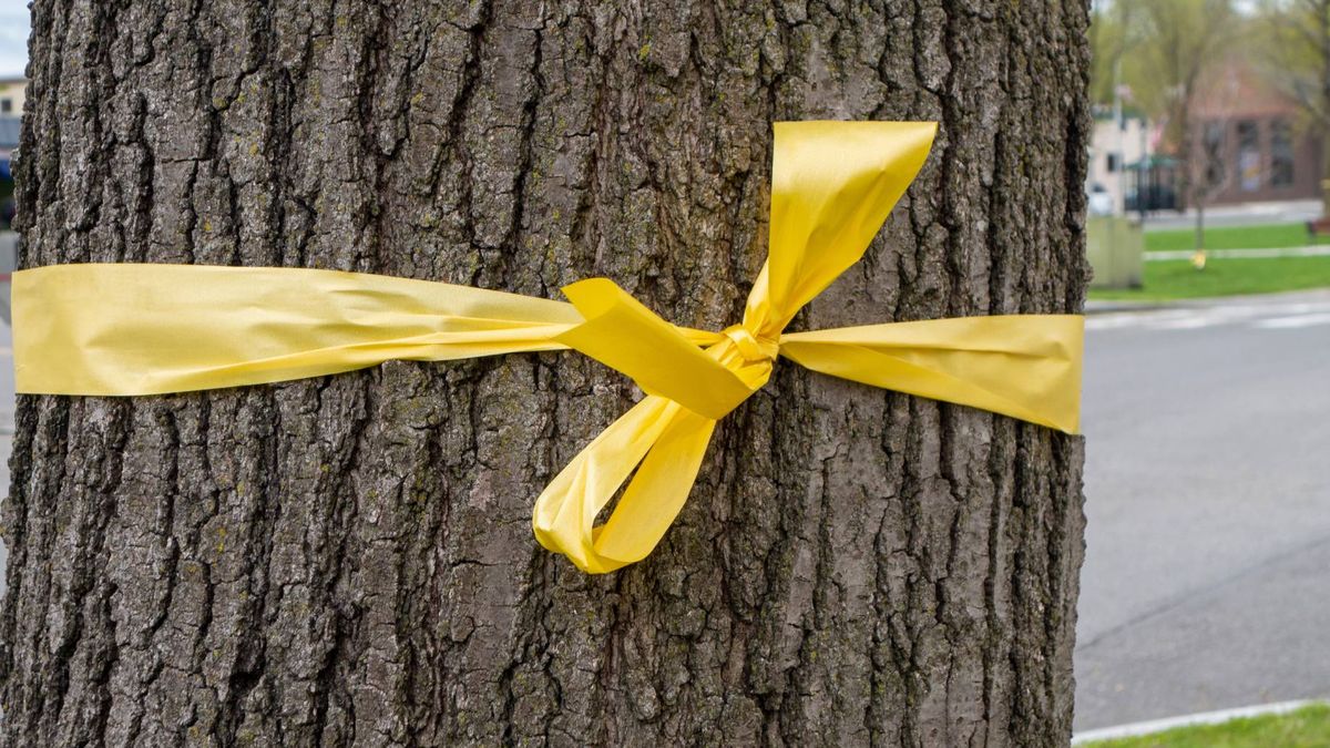 Przywieś żółtą wstążkę w ogrodzie 