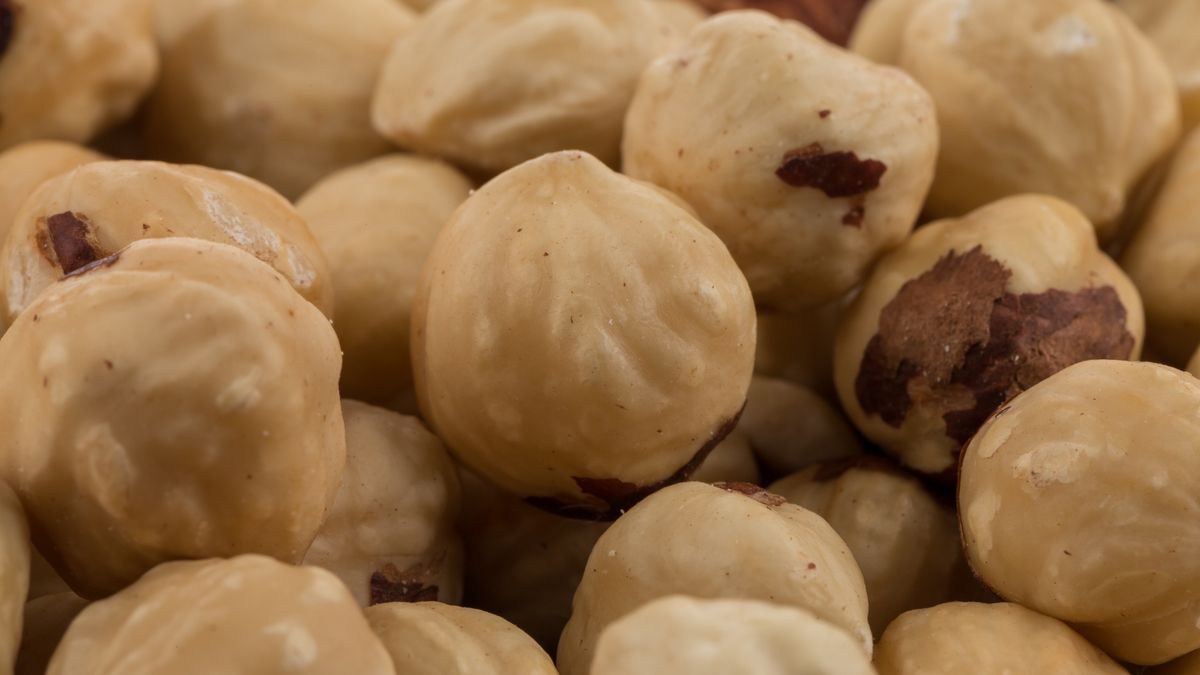 Fresh Hazelnuts top view close up for background
Fresh Hazelnuts top view close up for background
R.Tsubin
background, closeup, hazel, hazelnuts, healthy, macro, nut, nuts, nutty, raw, vegetarian