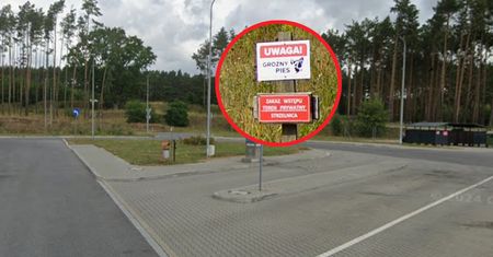 Został zagryziony przez psy. Oto co zastali na miejscu tragedii
