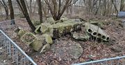 Warszawa: Betonowy gruz w parku to "czwarta przyroda"?