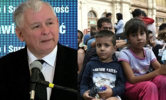 Kaczyński o imigrantach: "Są już objawy cholery, pierwotniaki, pasożyty"