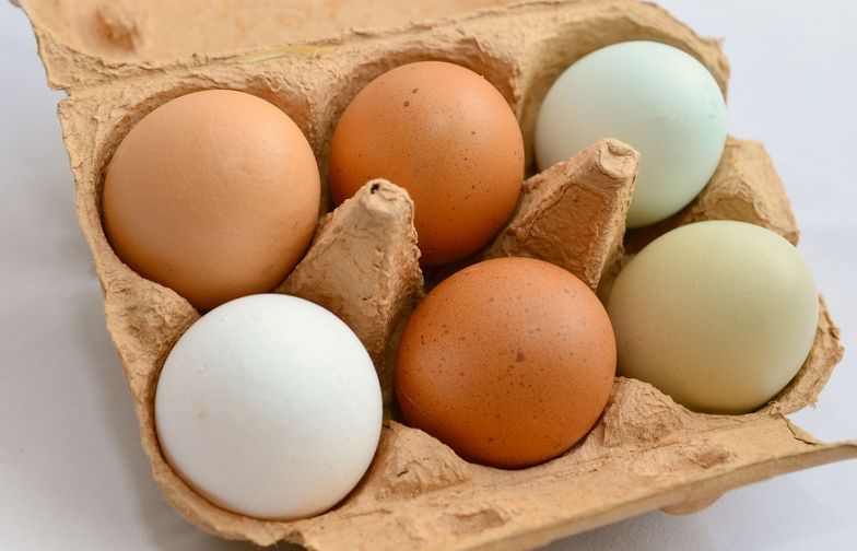 W Polsce rocznie produkuje się około 9 mld 100 milionów sztuk jaj