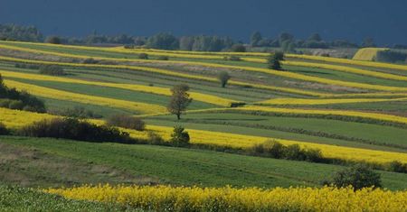 Ogromne starty polskich rolników