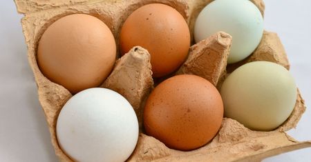 Polacy coraz chętniej kupują "jaja od szczęśliwych kur"