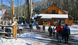 Pościel z egipskiej bawełny i materac dla psa. Oto życzenia polskich turystów