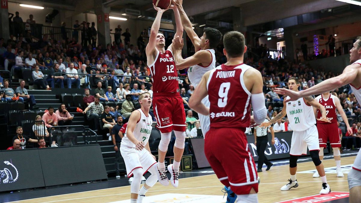 Materiały prasowe / Andrzej Romański (koszkadra.pl) / Na zdjęciu: Adam Waczyński