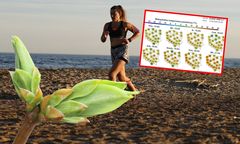 Eksplozja wiosennego ciepła. Nawet 21 stopni w cieniu