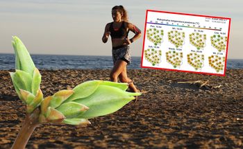 Eksplozja wiosennego ciepła. Nawet 21 stopni w cieniu