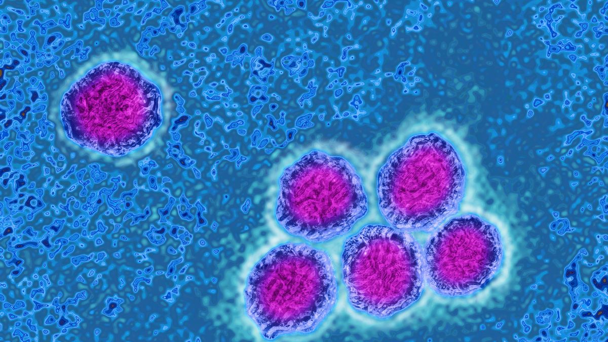 Flawowirusy przenoszone przez komary lub kleszcze. 