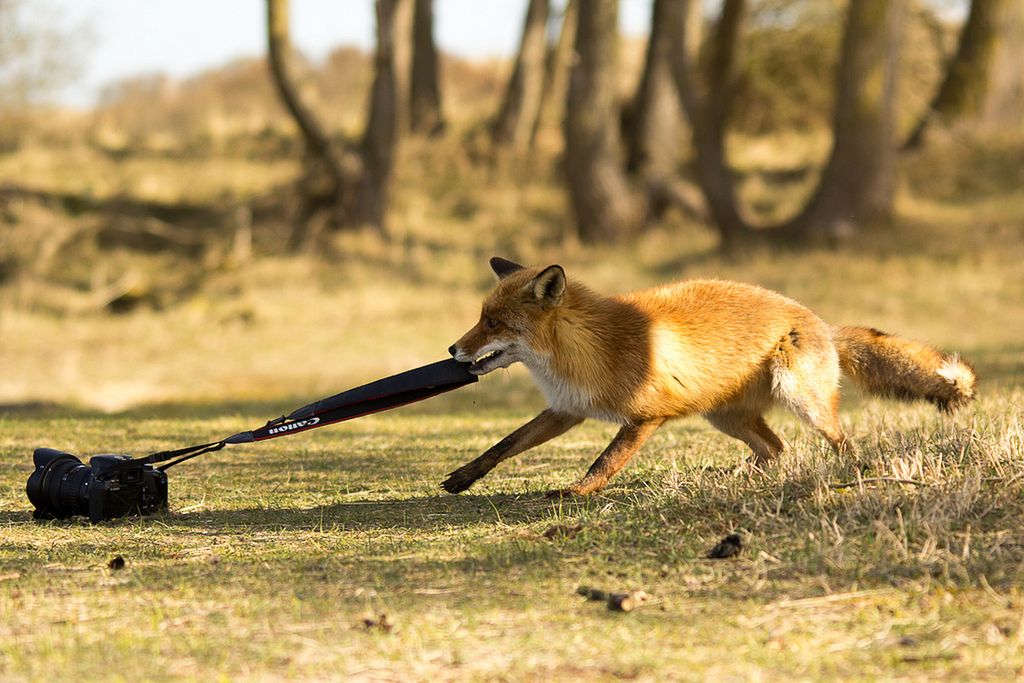 Higiena i ochrona fotosprzętu 6