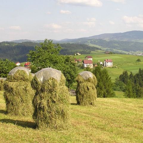 Odszkodowania unijne - 210 mln euro pomocy dla rolników