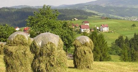 Odszkodowania unijne - 210 mln euro pomocy dla rolników