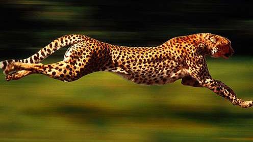 Nowy dodatek skróci czas uruchamiania Firefoksa o połowę? [pobierz] 1