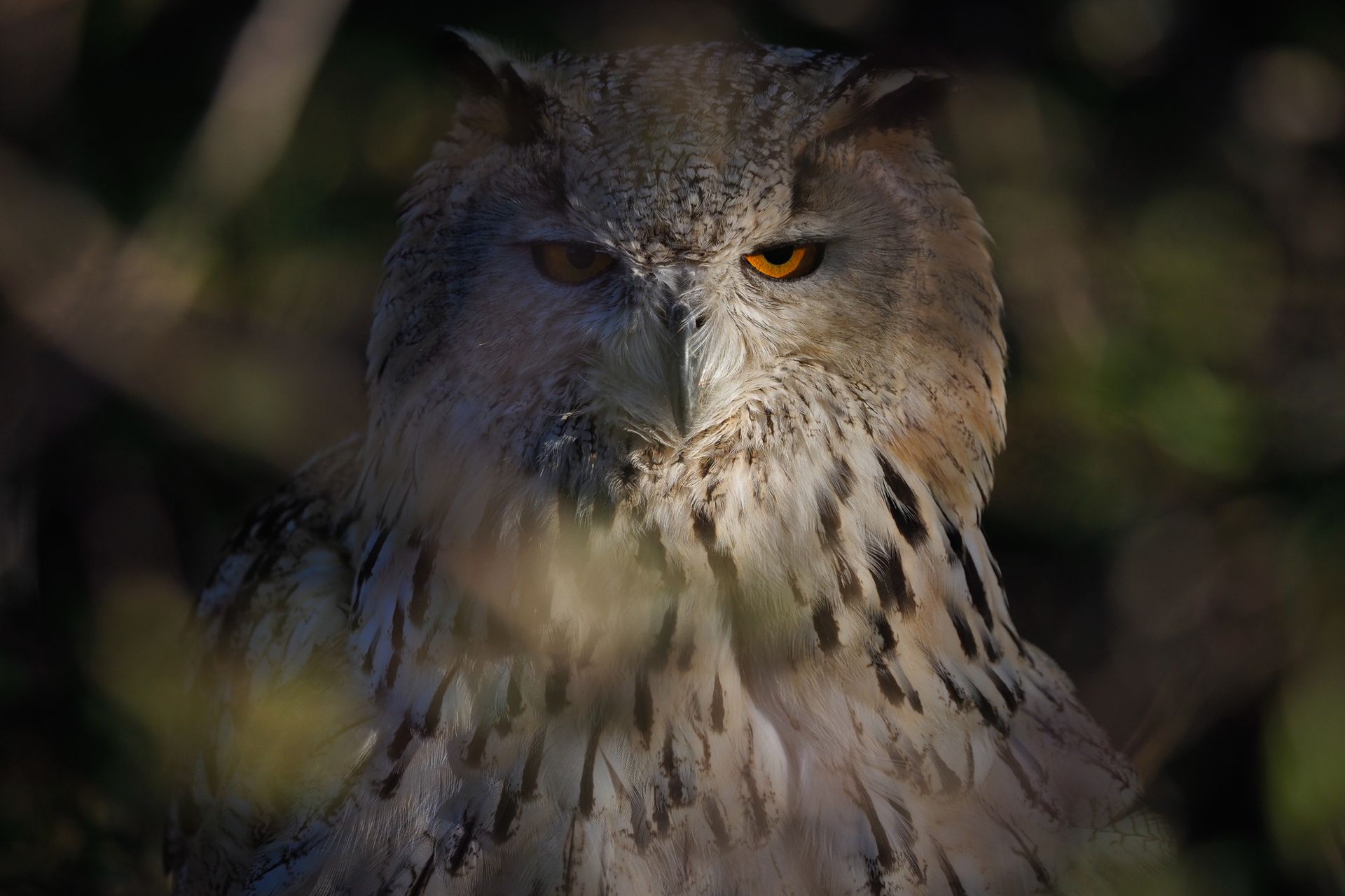 Olympus OM-D E-M1 Mark II - pierwsze zdjęcia przykładowe 109