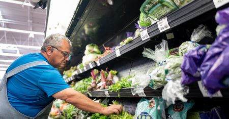 Alarm w USA. Tysiące zakażeń i pierwsze ofiary śmiertelne pasożytów