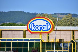 Zainspirował swoich braci do stworzenia imperium. Zmarł Jan Koral