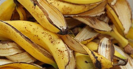 Włóż skórki od banana do słoika. Ta metoda robi furorę
