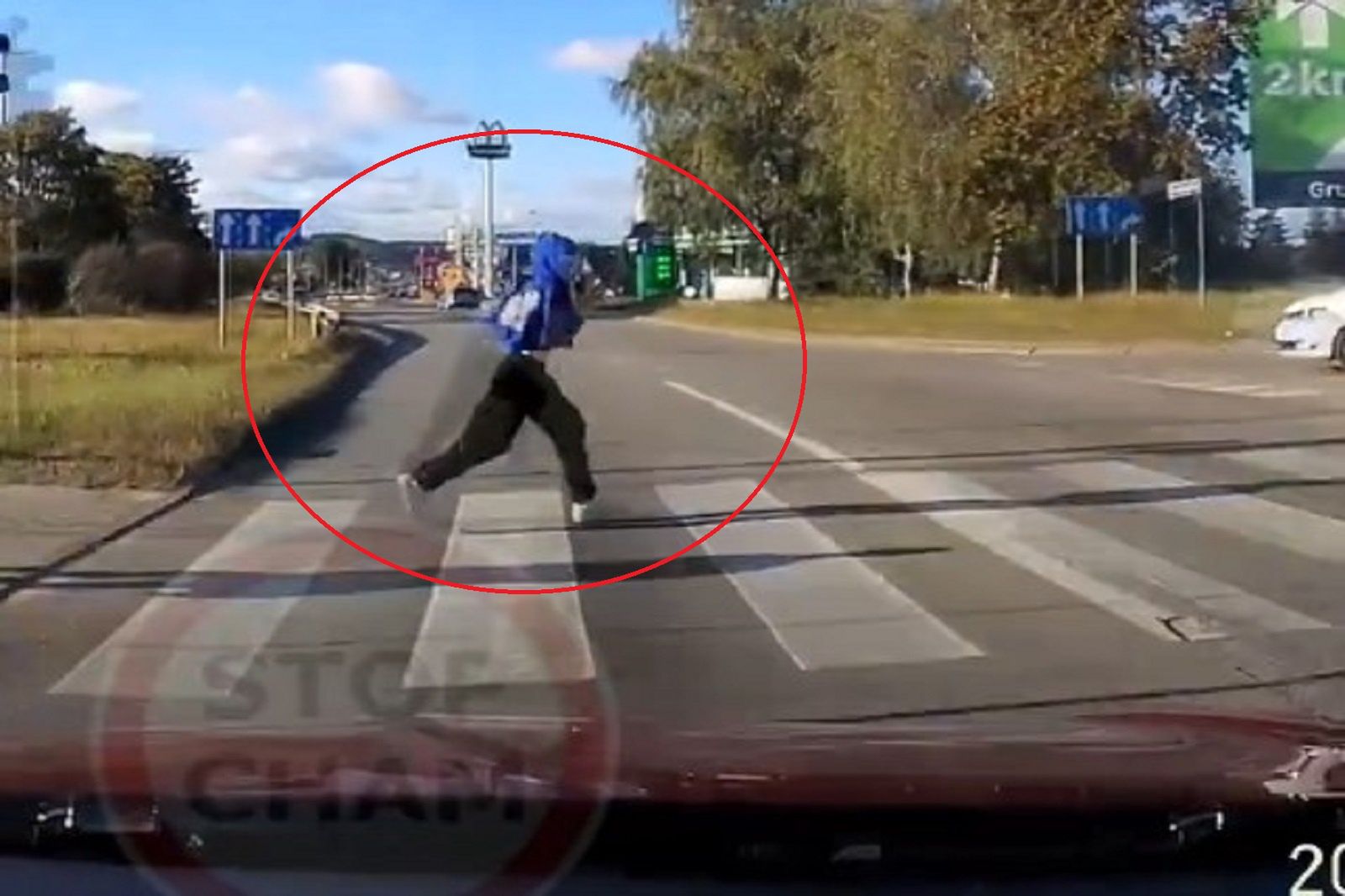 Piesza cudem uniknęła potrącenia przez auto.