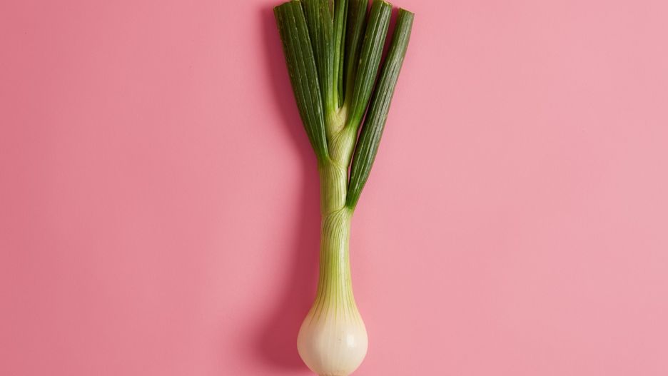 Green leek with sweet flavor ready to cook, offers host of health benefits, contains variety of nutrients, very low in calories, can be added to your diet, soup, salads or stews. Fresh wild ramp