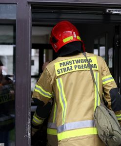 Akcja strażaków w Zielonej Górze. Drzwi mieszkania oblane niebezpieczną substancją