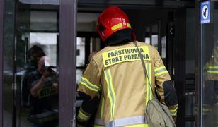 Akcja strażaków w Zielonej Górze. Drzwi mieszkania oblane niebezpieczną substancją