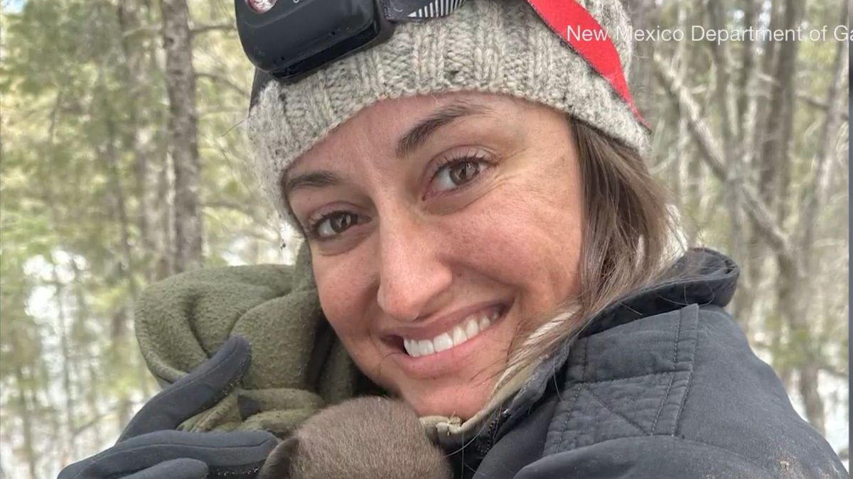 Praca marzeń? Zostań przytulaczem misiów