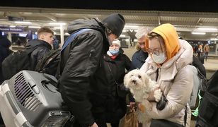 Юридическая помощь для жителей Украины, приезжающих в Польшу