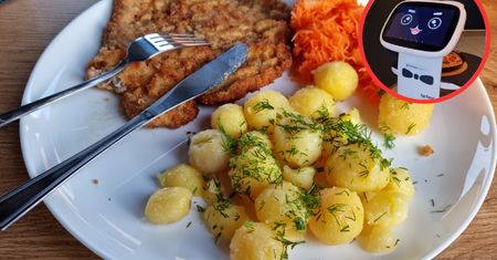 Pan Stanisław poszedł na obiad do restauracji. Kiedy dostał swoje zamówienie, chwycił za telefon