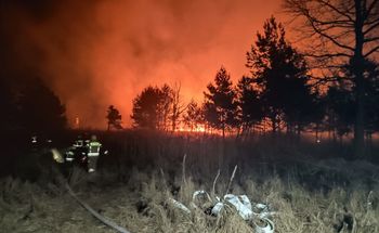 Płoną hektary lasów na południu Polski. Trwa walka strażaków